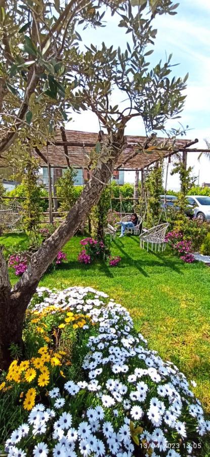 La Villa Degli Dei - Guest House Castellammare di Stabia Extérieur photo
