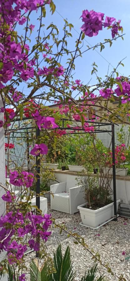 La Villa Degli Dei - Guest House Castellammare di Stabia Extérieur photo
